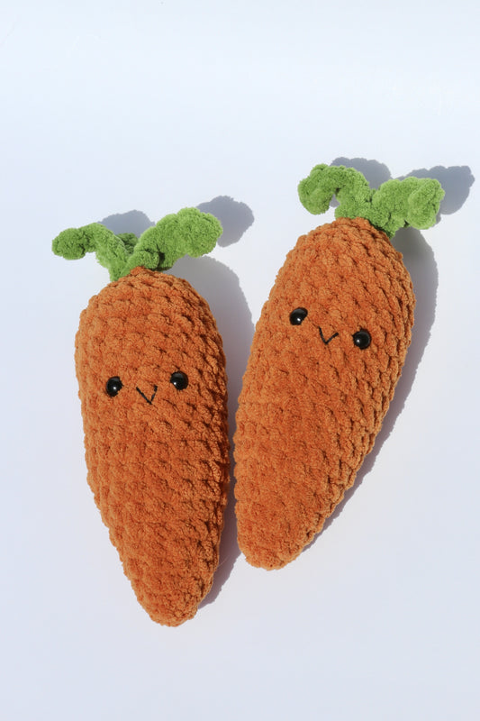 Carrot | Garden Patch