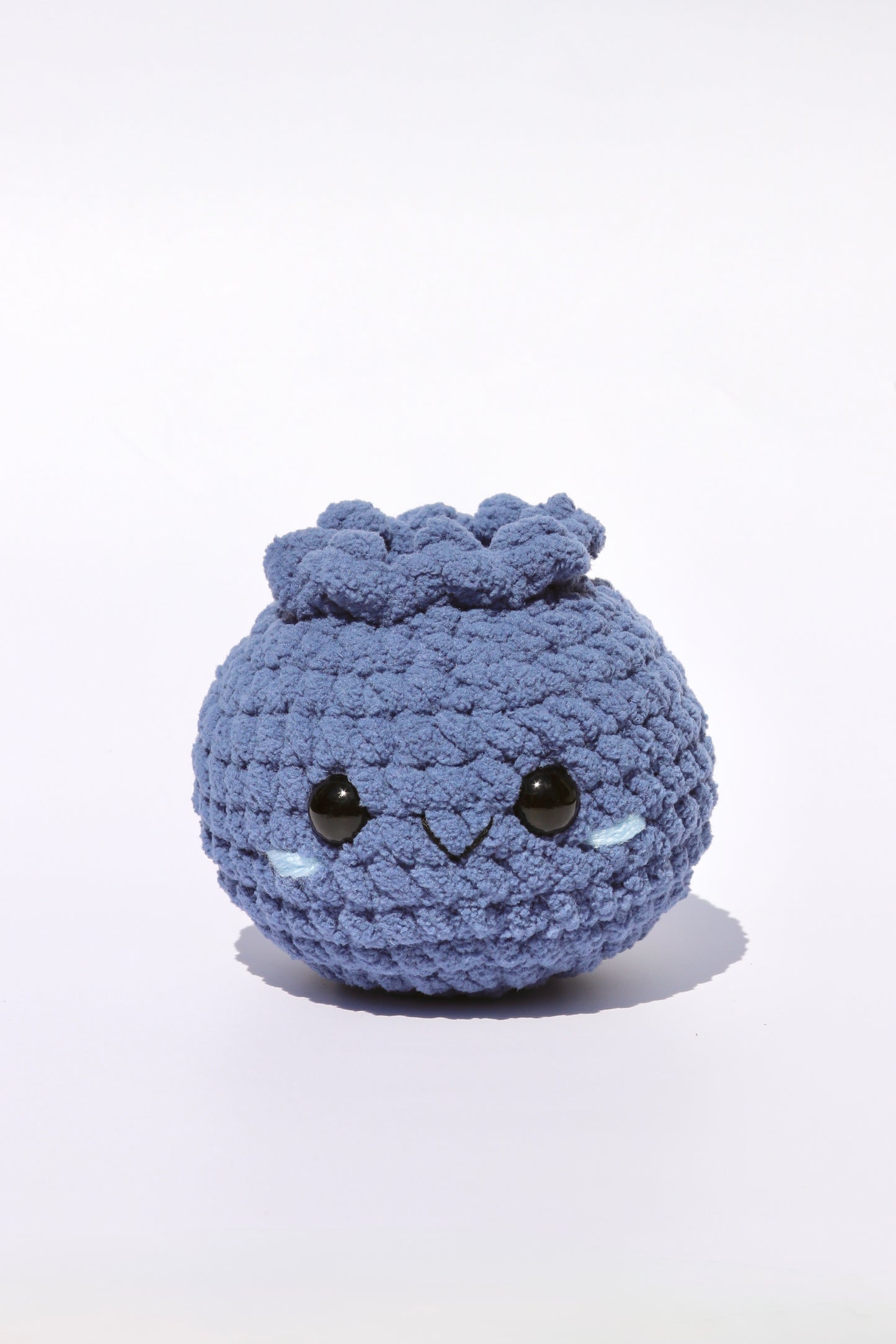 Blueberry | Garden Patch