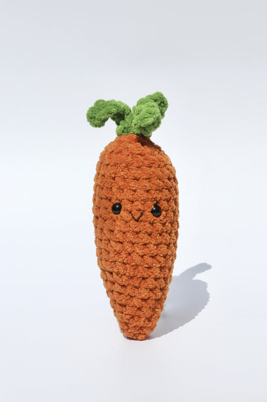 Carrot | Garden Patch