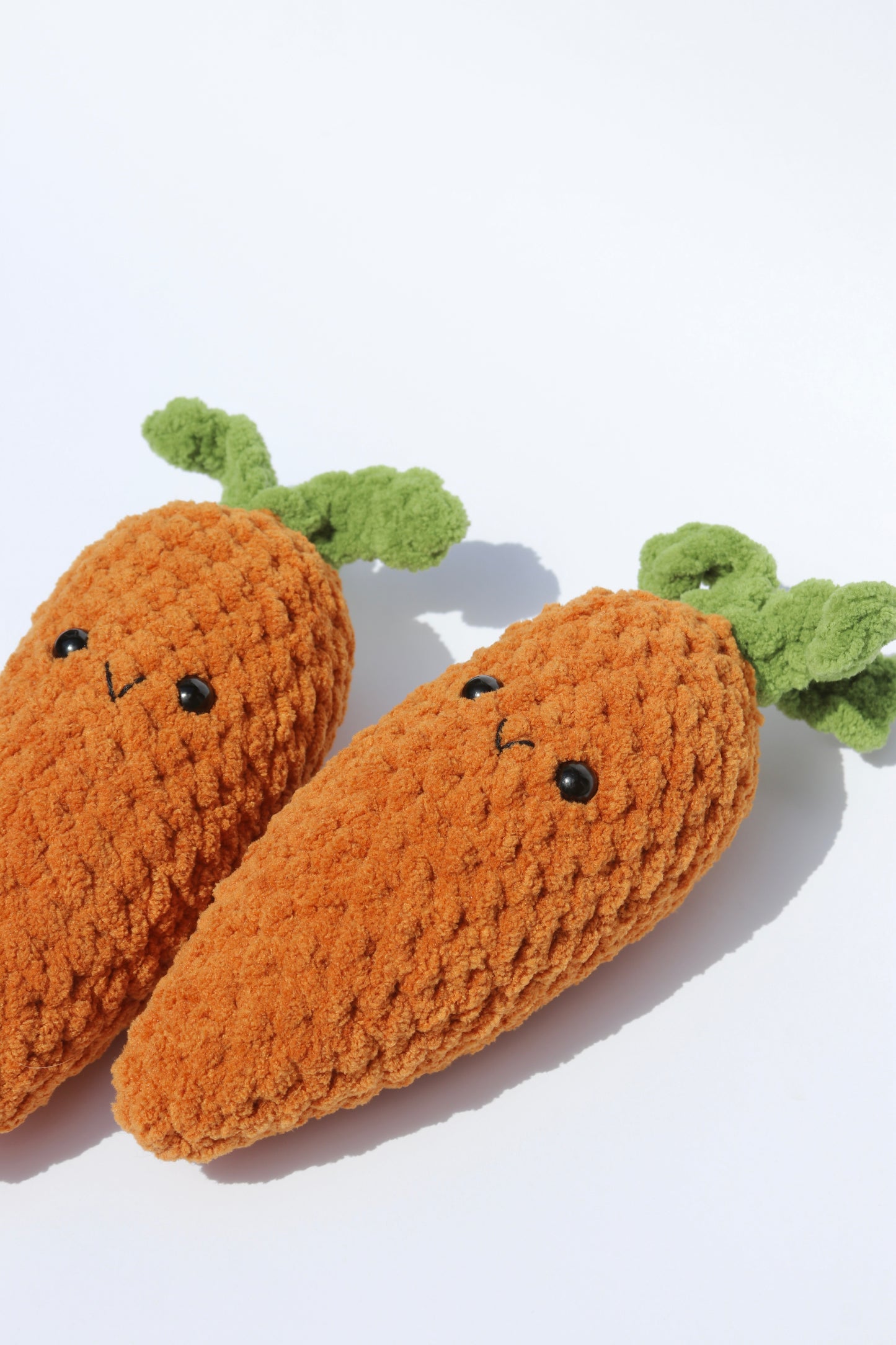 Carrot | Garden Patch