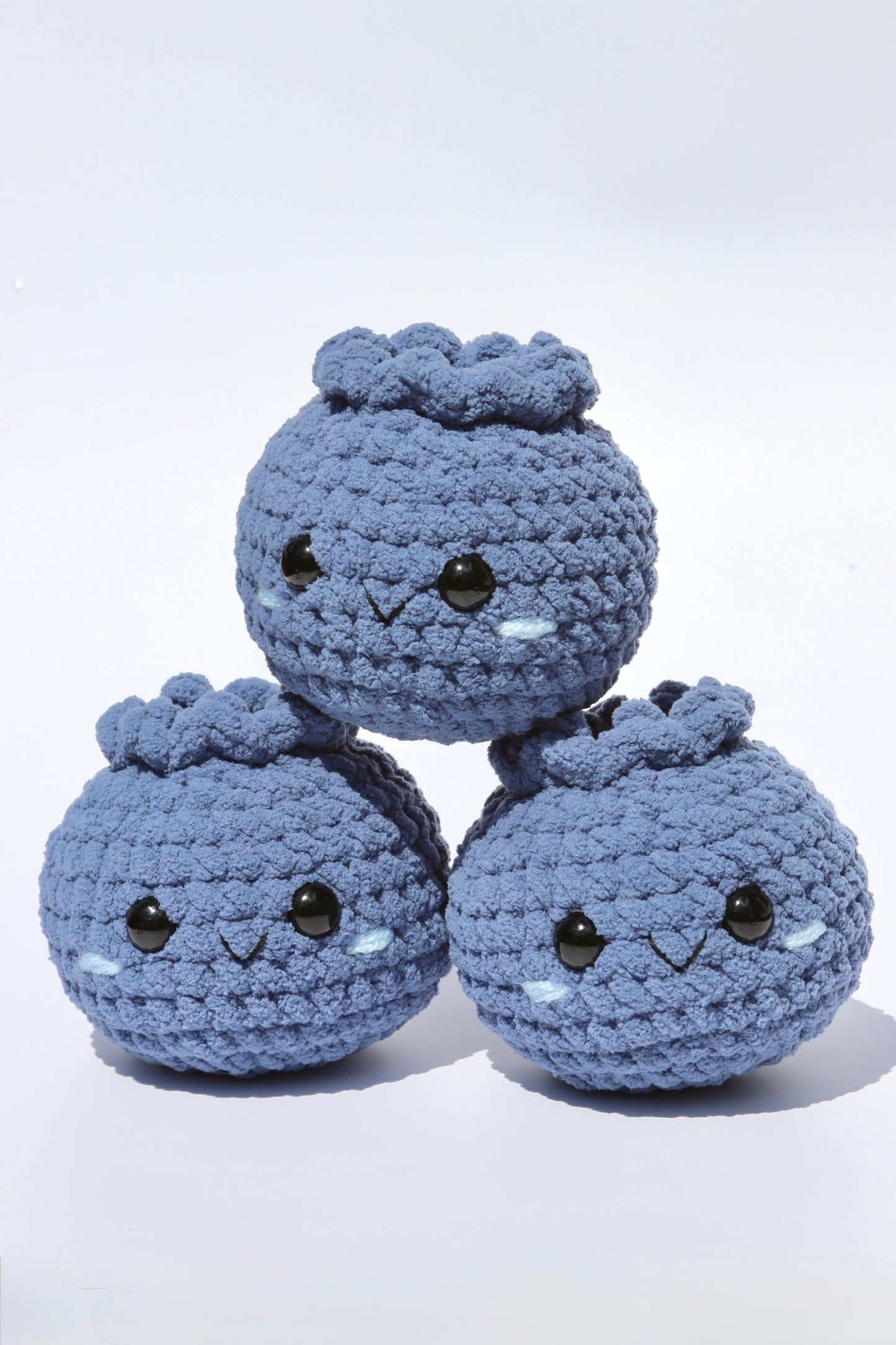 Blueberry | Garden Patch